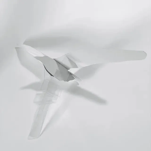 Transparent mechanism of the flapping night heron